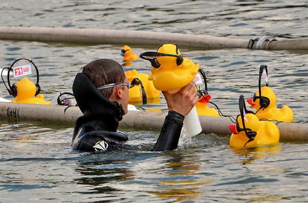 Maschsee13   595.jpg